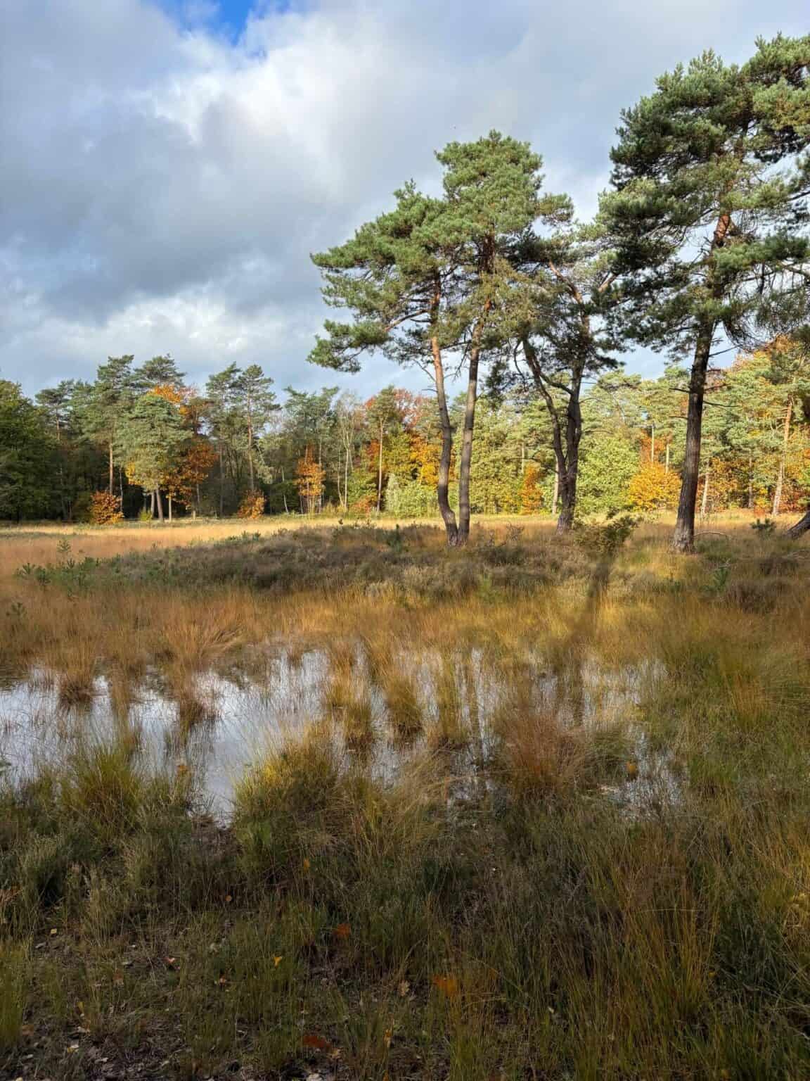 Zorgverzekering 2024 Welke Kies Ik En Hoe Krijg Ik Extra Korting Mr FOB