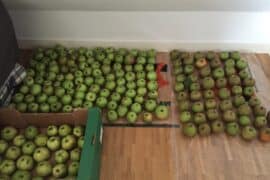 appels